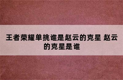 王者荣耀单挑谁是赵云的克星 赵云的克星是谁